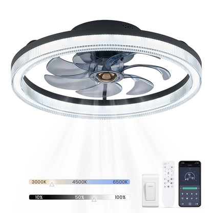 LUDOMIDE 20" Ceiling Fans with Lights and Remote