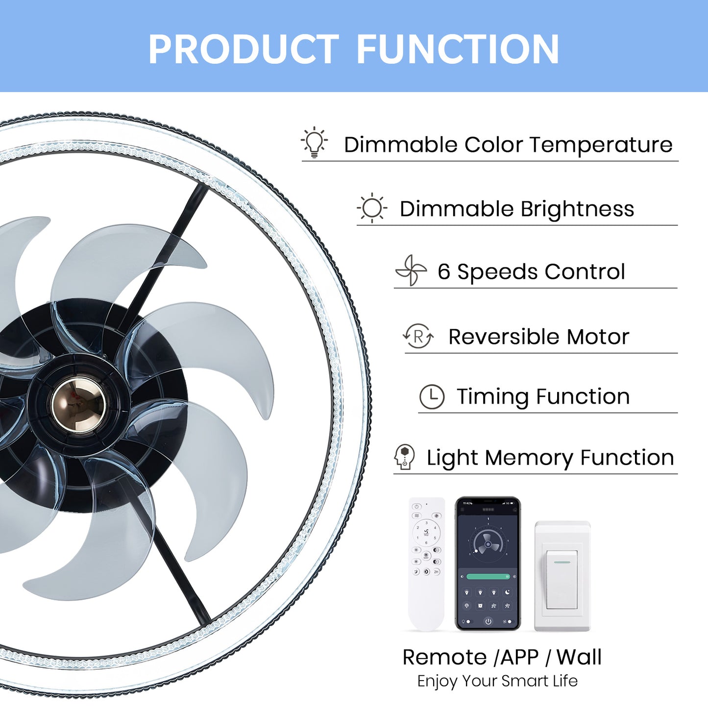 LUDOMIDE 20" Ceiling Fans with Lights and Remote