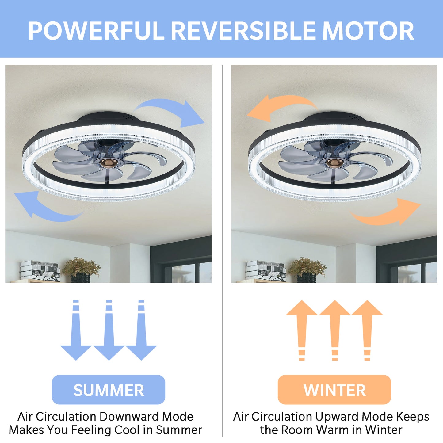 LUDOMIDE 20" Ceiling Fans with Lights and Remote