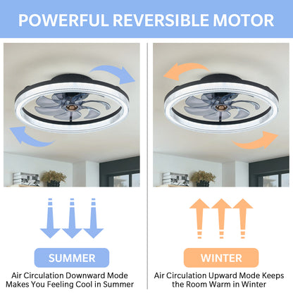 LUDOMIDE 20" Ceiling Fans with Lights and Remote