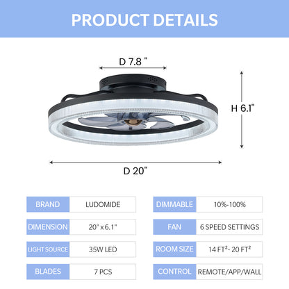 LUDOMIDE 20" Ceiling Fans with Lights and Remote