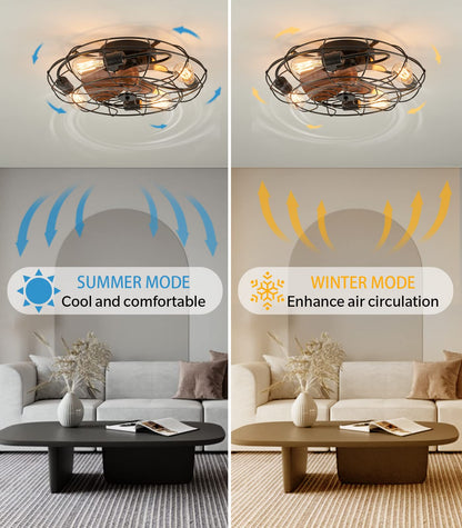 LUDOMIDE Caged Ceiling Fans with Lights and Remote