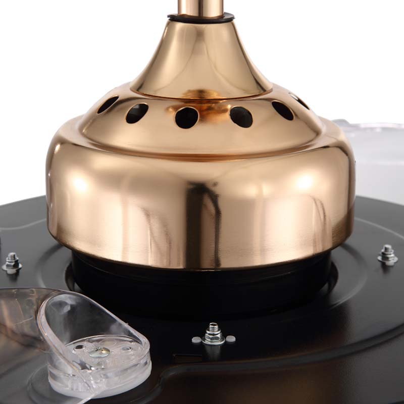 Retractable Ceiling Fan and Light