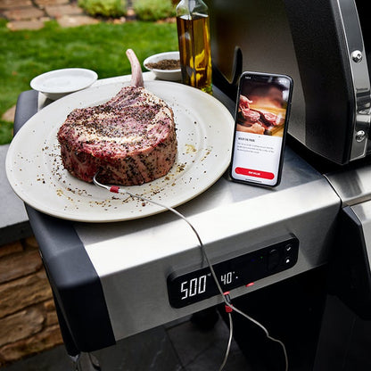 Outdoor Stainless Steel BBQ Grill Camping Cooking Picnic Barbecue Smart Grill
